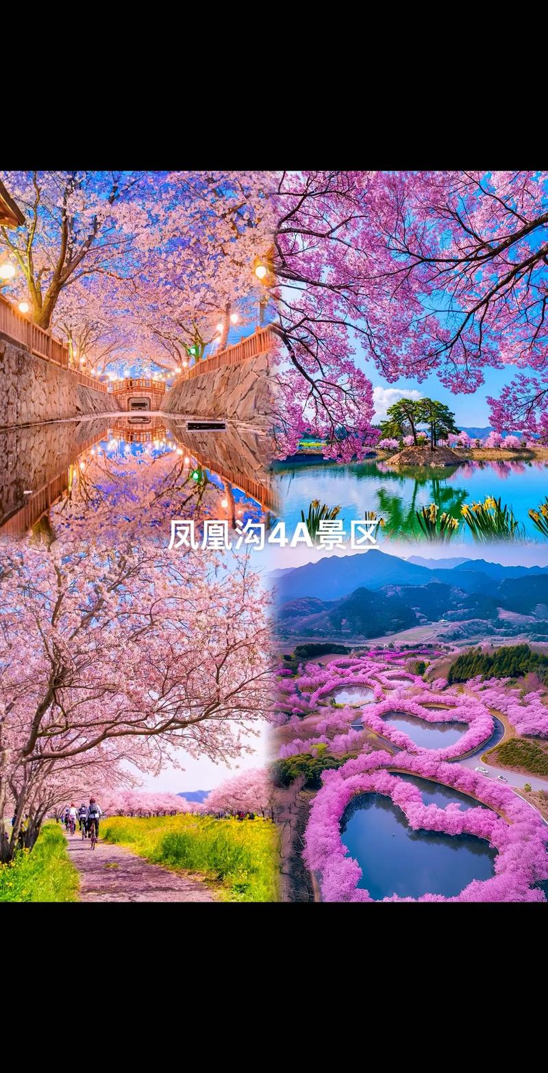 亲子游