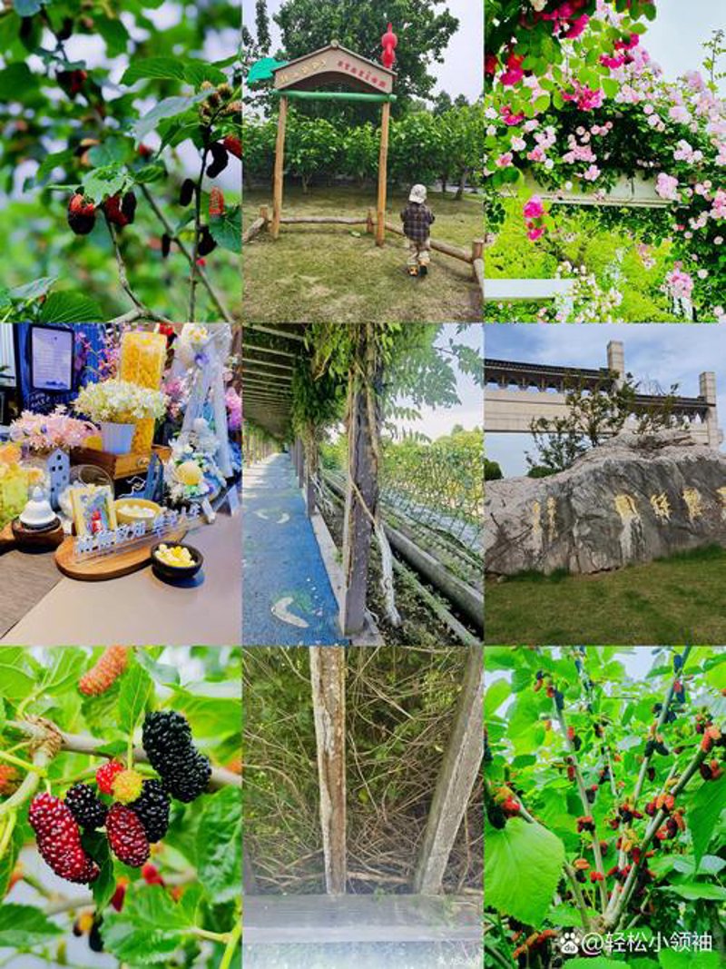 江西凤凰沟：踏青赏花新选择